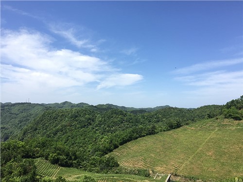 张家界天子山示范基地