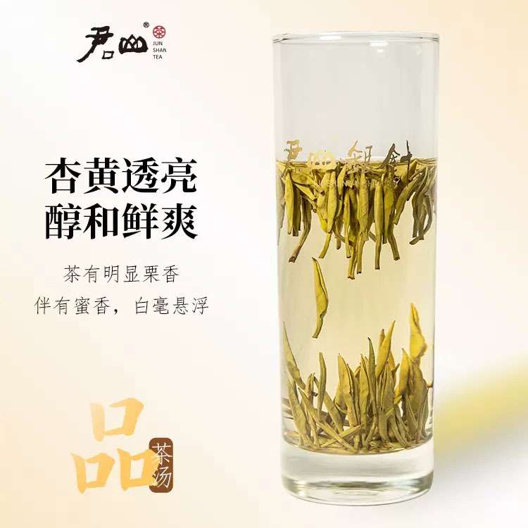 湖南特产岳阳君山岛茶叶君山银针555明前新茶黄茶礼盒装100g