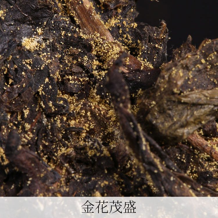 大师荒野料茯砖