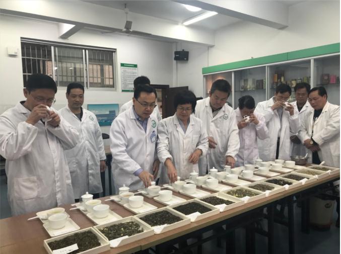 潇湘茶业开展花茶审评和座谈会，刘仲华院士等专家共谋花茶产业发展